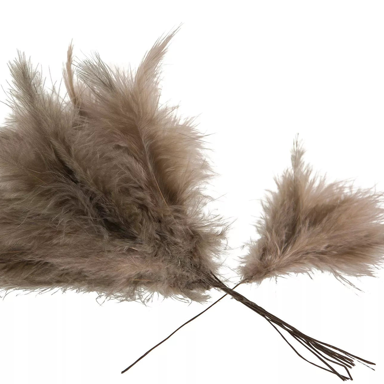 Fjädervippa eller pudervippa på tråd i mullvadsfärg från A Lot Decoration.