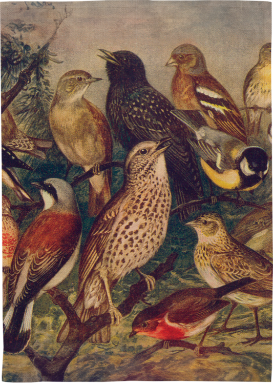 Kökshandduk med motiv av färgglada fåglar från Sköna Ting.